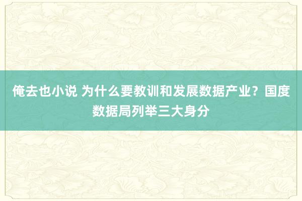 俺去也小说 为什么要教训和发展数据产业？国度数据局列举三大身分