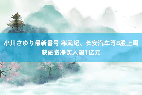 小川さゆり最新番号 寒武纪、长安汽车等8股上周获融资净买入超1亿元