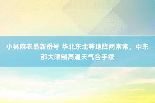 小林麻衣最新番号 华北东北等地降雨常常，中东部大限制高温天气合手续