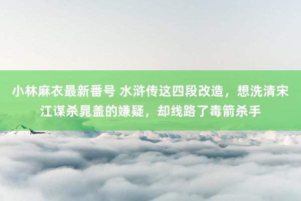 小林麻衣最新番号 水浒传这四段改造，想洗清宋江谋杀晁盖的嫌疑，却线路了毒箭杀手