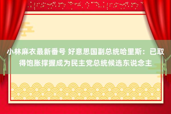 小林麻衣最新番号 好意思国副总统哈里斯：已取得饱胀撑握成为民主党总统候选东说念主