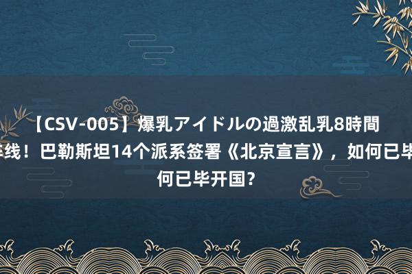 【CSV-005】爆乳アイドルの過激乱乳8時間 调解阵线！巴勒斯坦14个派系签署《北京宣言》，如何已毕开国？