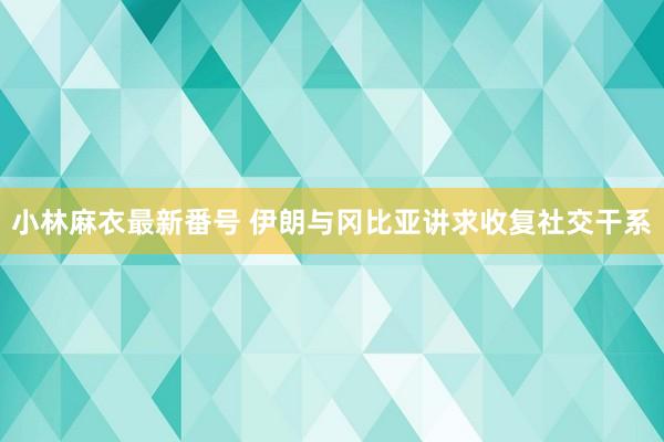 小林麻衣最新番号 伊朗与冈比亚讲求收复社交干系