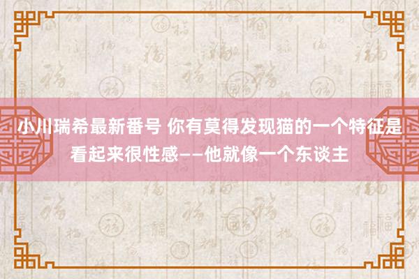 小川瑞希最新番号 你有莫得发现猫的一个特征是看起来很性感——他就像一个东谈主