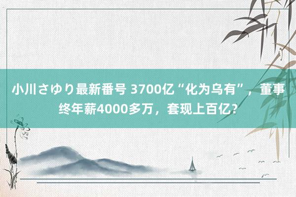 小川さゆり最新番号 3700亿“化为乌有”，董事终年薪4000多万，套现上百亿？