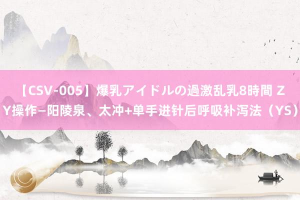 【CSV-005】爆乳アイドルの過激乱乳8時間 ZY操作—阳陵泉、太冲+单手进针后呼吸补泻法（YS）