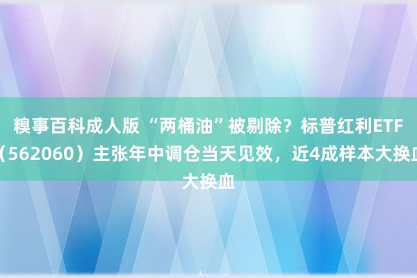 糗事百科成人版 “两桶油”被剔除？标普红利ETF（562060）主张年中调仓当天见效，近4成样本大换血