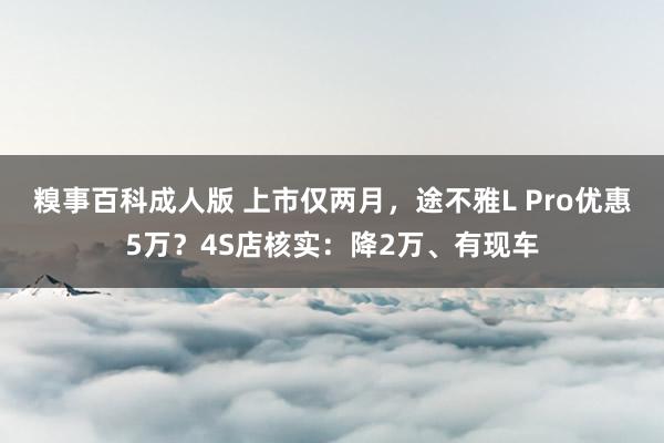 糗事百科成人版 上市仅两月，途不雅L Pro优惠5万？4S店核实：降2万、有现车