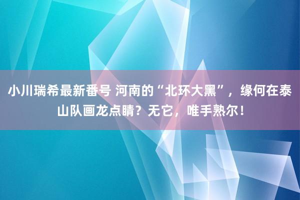 小川瑞希最新番号 河南的“北环大黑”，缘何在泰山队画龙点睛？无它，唯手熟尔！