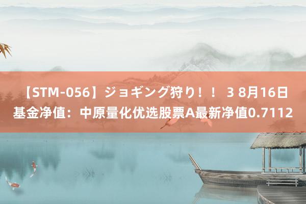 【STM-056】ジョギング狩り！！ 3 8月16日基金净值：中原量化优选股票A最新净值0.7112