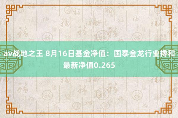 av战地之王 8月16日基金净值：国泰金龙行业搀和最新净值0.265