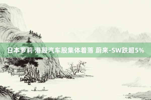 日本萝莉 港股汽车股集体着落 蔚来-SW跌超5%