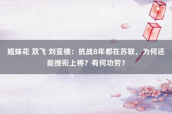 姐妹花 双飞 刘亚楼：抗战8年都在苏联，为何还能授衔上将？有何功劳？