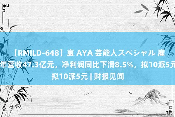 【RMILD-648】裏 AYA 芸能人スペシャル 雇主电器上半年营收47.3亿元，净利润同比下滑8.5%，拟10派5元 | 财报见闻