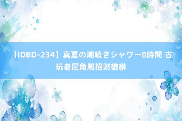 【IDBD-234】真夏の潮噴きシャワー8時間 古玩老犀角雕招财貔貅