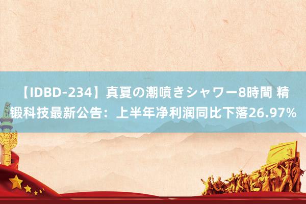 【IDBD-234】真夏の潮噴きシャワー8時間 精锻科技最新公告：上半年净利润同比下落26.97%