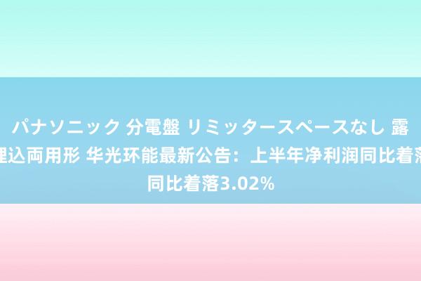 パナソニック 分電盤 リミッタースペースなし 露出・半埋込両用形 华光环能最新公告：上半年净利润同比着落3.02%