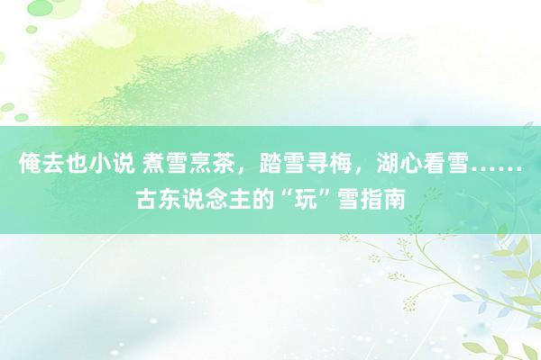 俺去也小说 煮雪烹茶，踏雪寻梅，湖心看雪……古东说念主的“玩”雪指南