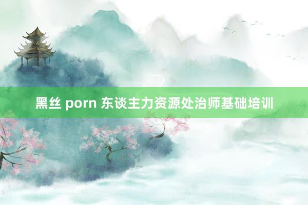 黑丝 porn 东谈主力资源处治师基础培训