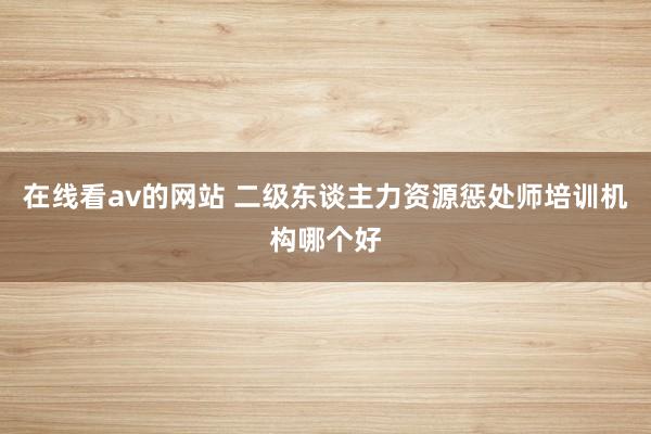 在线看av的网站 二级东谈主力资源惩处师培训机构哪个好