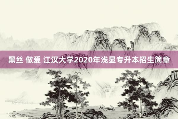 黑丝 做爱 江汉大学2020年浅显专升本招生简章