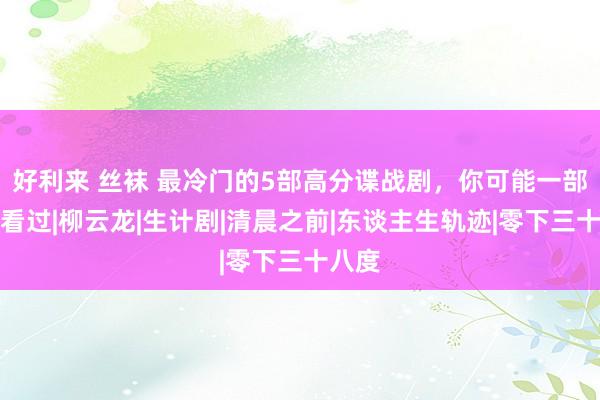 好利来 丝袜 最冷门的5部高分谍战剧，你可能一部齐没看过|柳云龙|生计剧|清晨之前|东谈主生轨迹|零下三十八度
